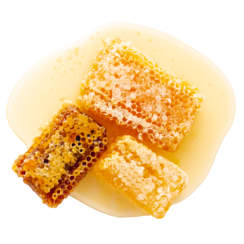 top-view-honeycombs-honey-removebg-preview