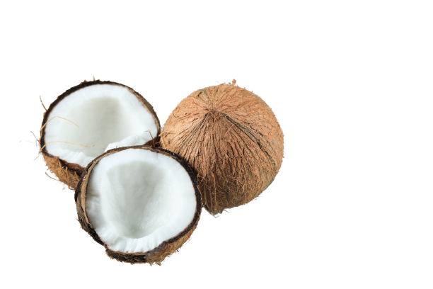 whole-brown-hairy-tropical-broken-whole-coconut__1_-removebg-preview